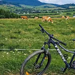 Polana Piorun Komfortowe W Beskidzie Niskim * Крыница-Здруй