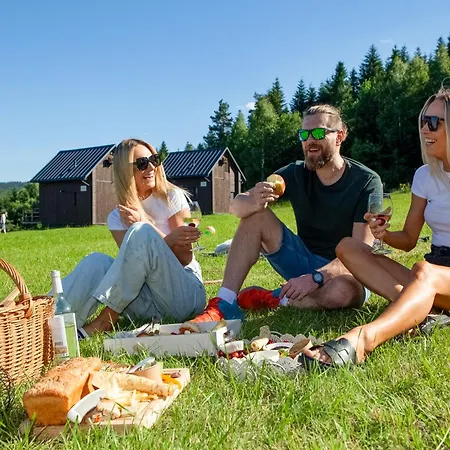 Деревянный коттедж Polana Piorun Caloroczne W Beskidach Крыница-Здруй