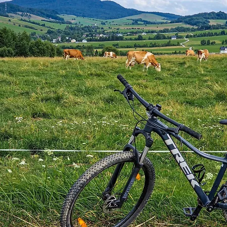 Polana Piorun-rodzinne W Beskidzie Niskim * Krynica-Zdrój